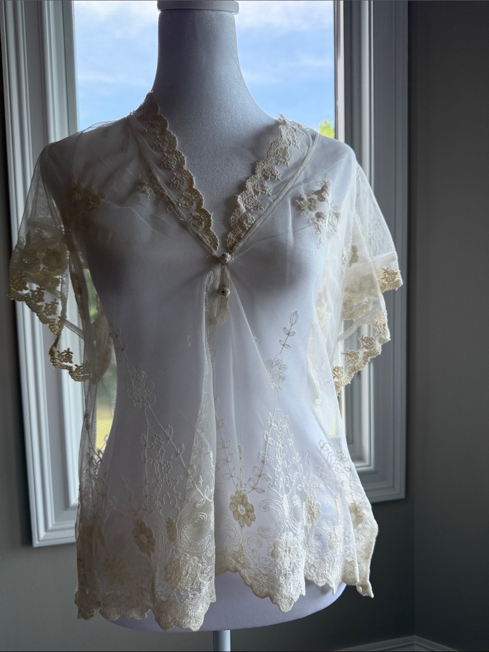 Anthropologie Sheer Cream Lace-Embroidered Tunic